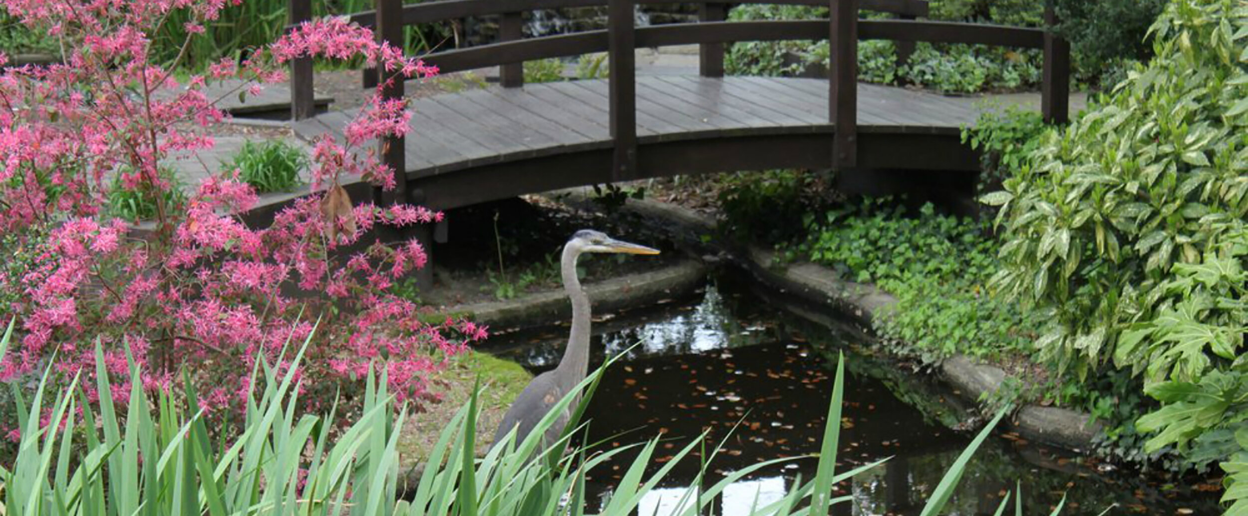  Meditation Garden, located next to the Visitor Center.   Used by permission–Edgar Cayce Foundation–Virginia Beach, VA; EdgarCayce.org.  