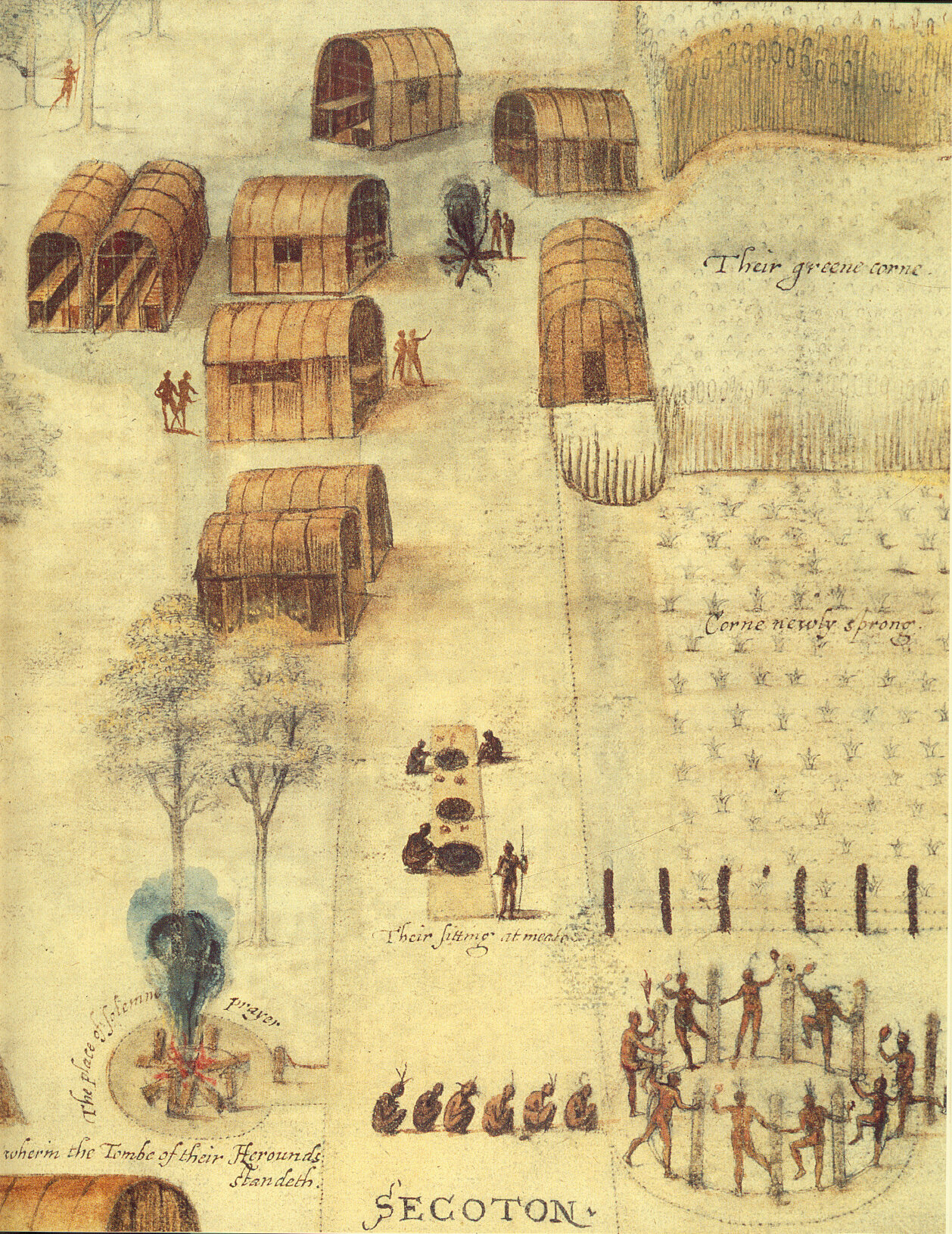  Watercolor of a Secotan village, by John White 