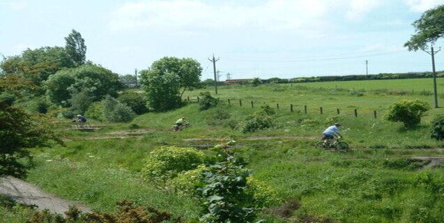 The Lambton Worm