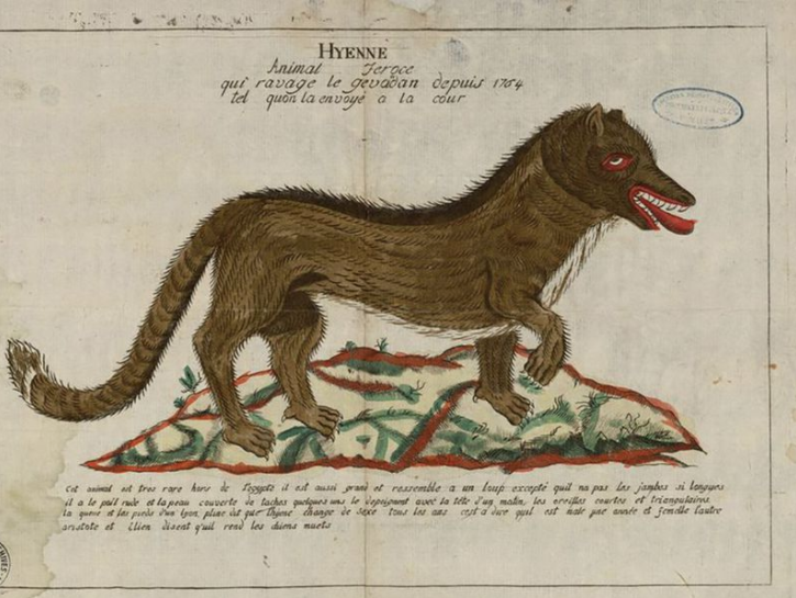  Illustration suggestion that the Beast was a hyena 