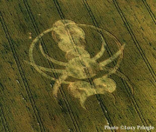  Barbury Castle, Wiltshire, July 7, 1994.  “An elaborate formation resembling a huge 'Bee'. Visible from the castle.”  Photo: © Lucy Pringle 1990 