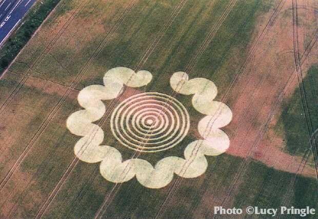  Litchfield, Hampshire, July 6, 1995.  “A complex 'brain' formation consisting of a wide curving outer path and 7 rings around a central circle.”  Photo: © Lucy Pringle 1990 