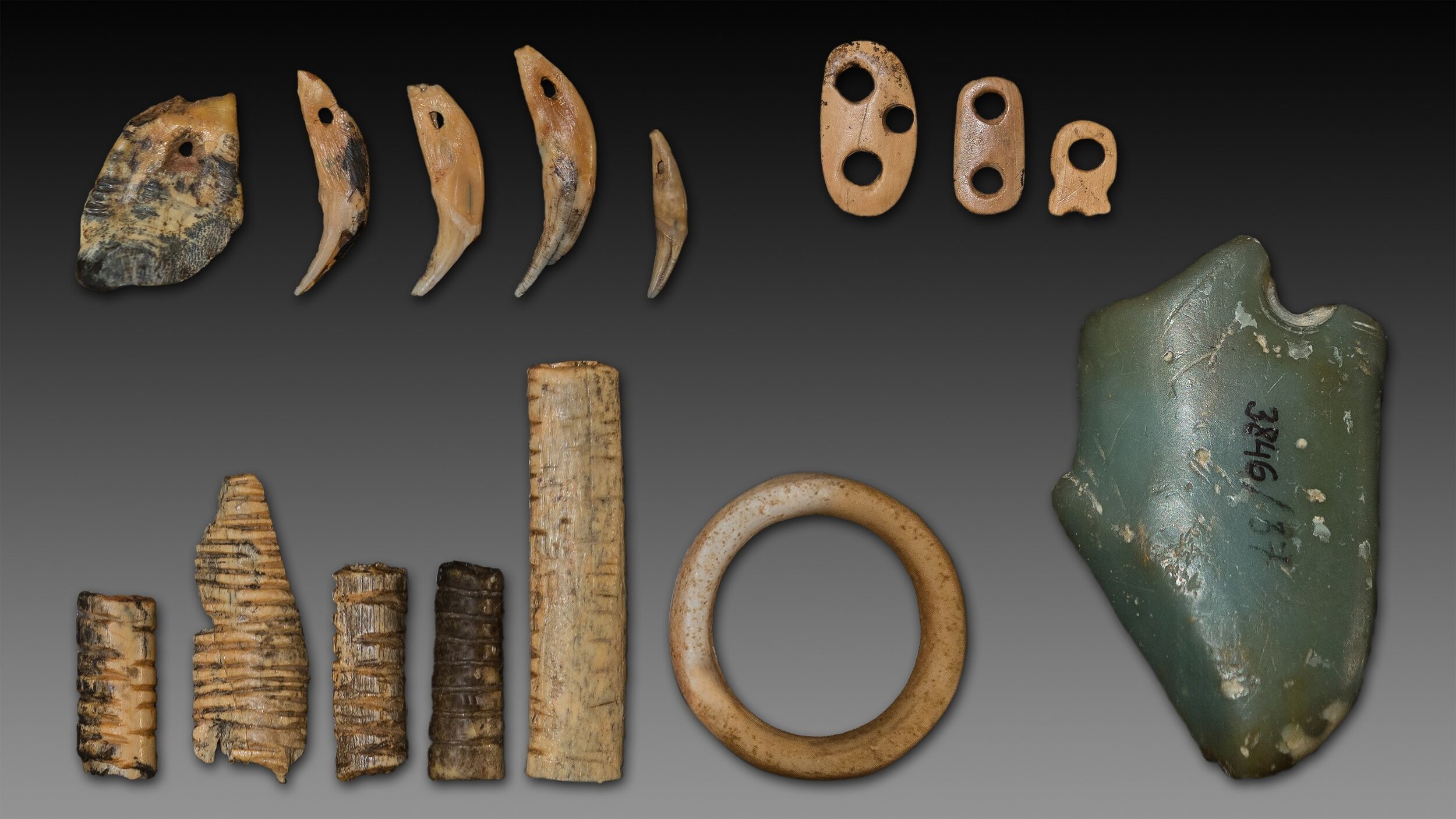  Denisova Cave pendants &amp; notched bones. Photo credit: Thilo Parg. Used with CC by SA4 