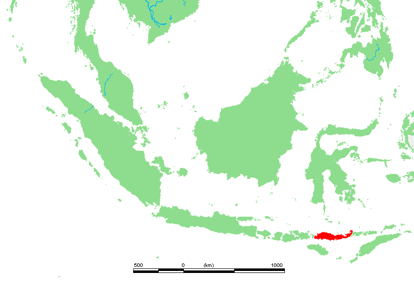  Flores island.  Graphic: Public Domain 