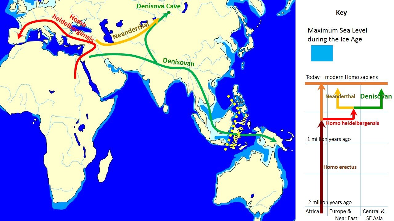  Spread and evolution of Denisovans. Image credit:  John D. Croft  at  English Wikipedia .  Used with CC by SA3 