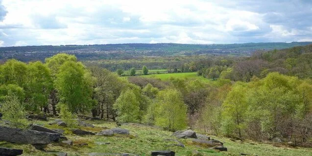 The Pennine Pterodactyl