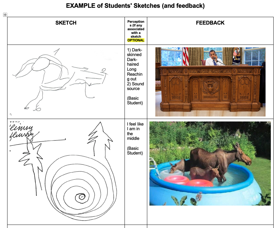  Beginning students’ first CRV attempts, showing session sketches and then actual targets 