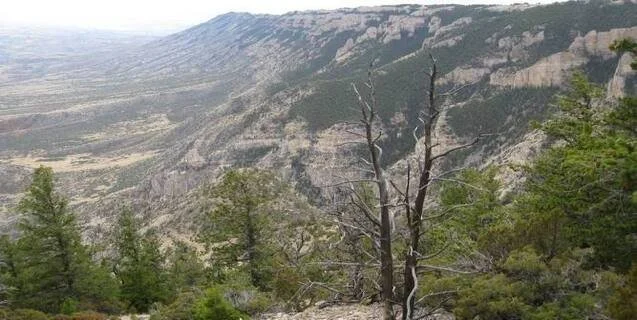 The Little People of Pryor Mountain