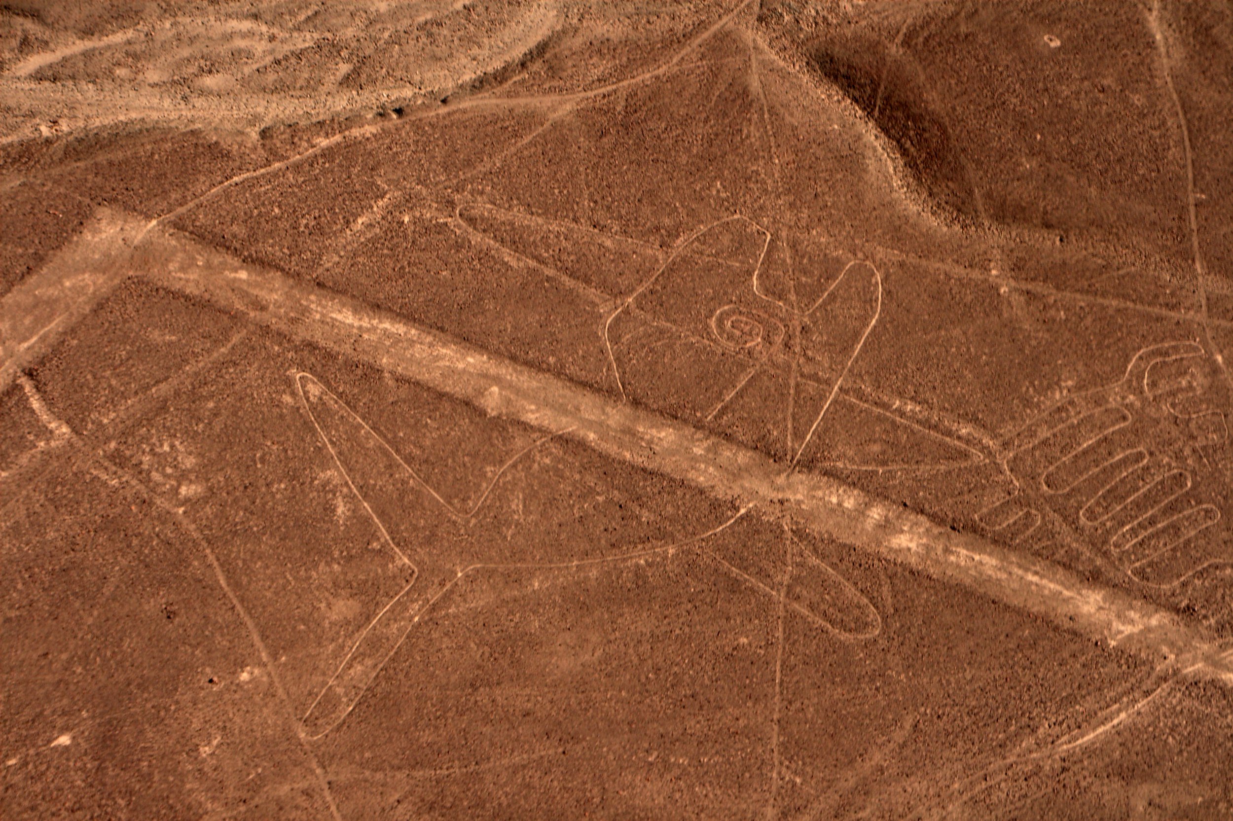  The “orca” Nazca line, original photography by  Christian Haugen , used under  CC BY 2.0    on Flickr. 