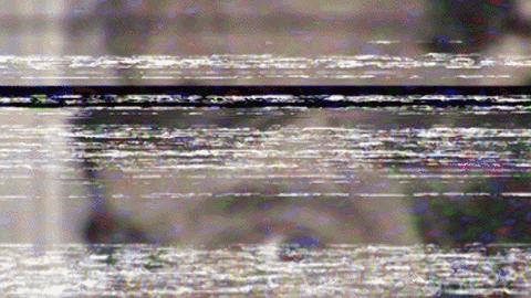 Ep 272: Zigmund Adamski – A Paranormal Cold Case Part 1