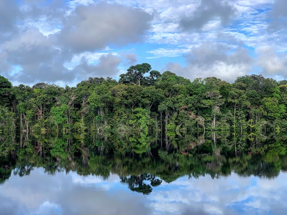 On the Amazon