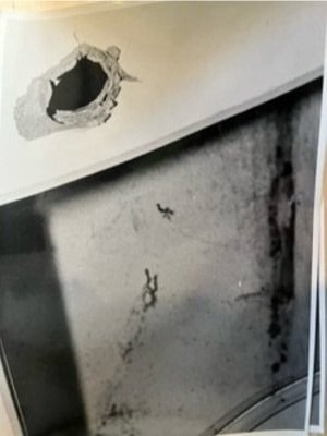  "A hole in a door in the Gajewski family’s apartment in Czeladz, caused by a bottle flying at a tremendous velocity.”  Ostrzycka, Anna; Rymuszko, Marek. The Elusive Force: A Remarkable Case of Poltergeist Activity and Psychokinetic Power (p. 90). An
