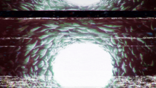 Ep 286: Live From Monster Fest 2024