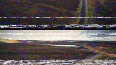 Ep 290: The Body on the Moor Part 2