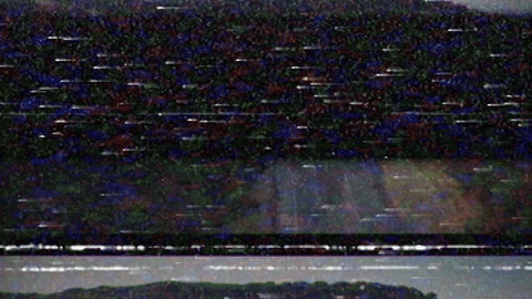 Ep 298: The Long Strange Trip of the Tromp Family