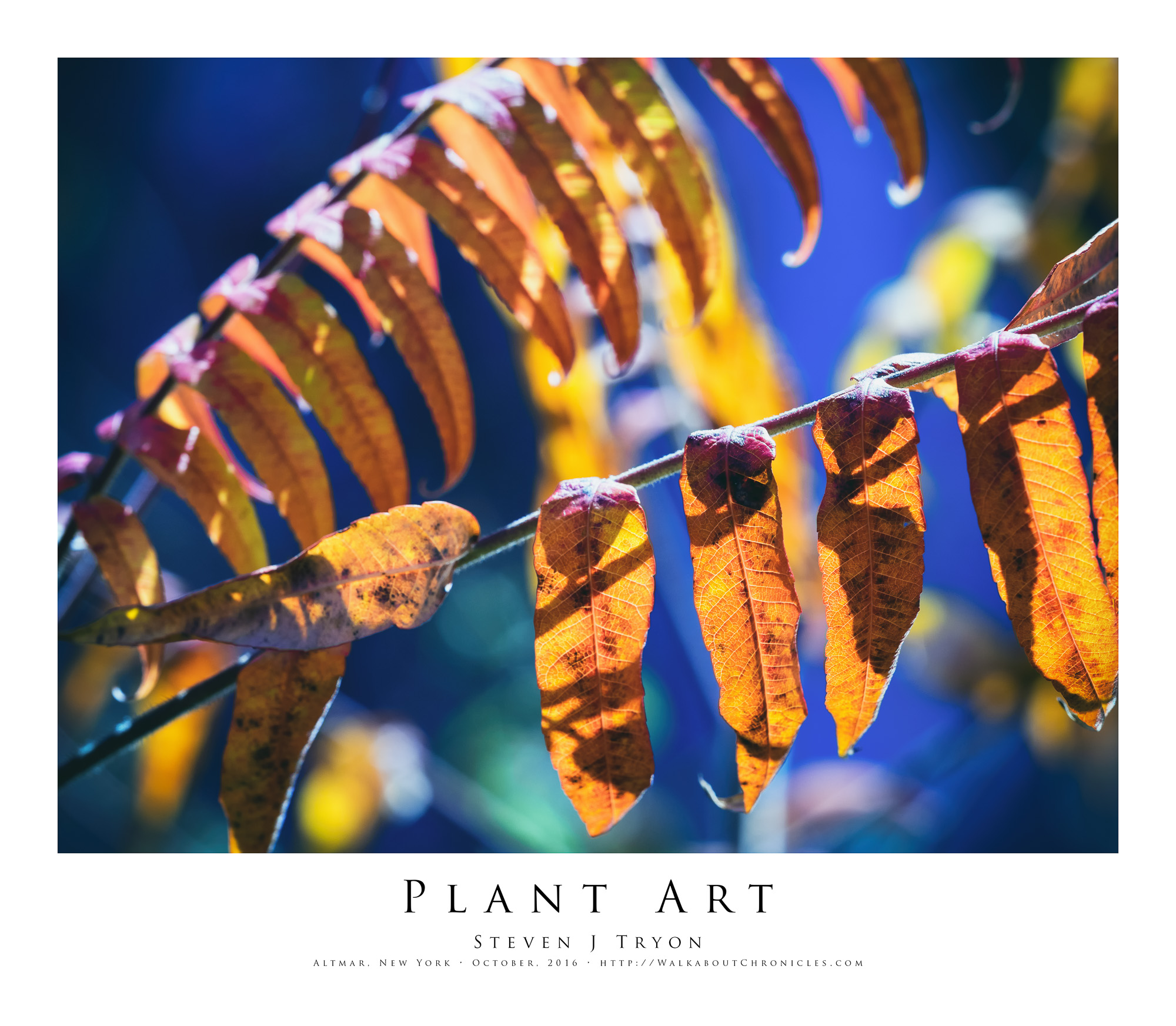 Plant Art