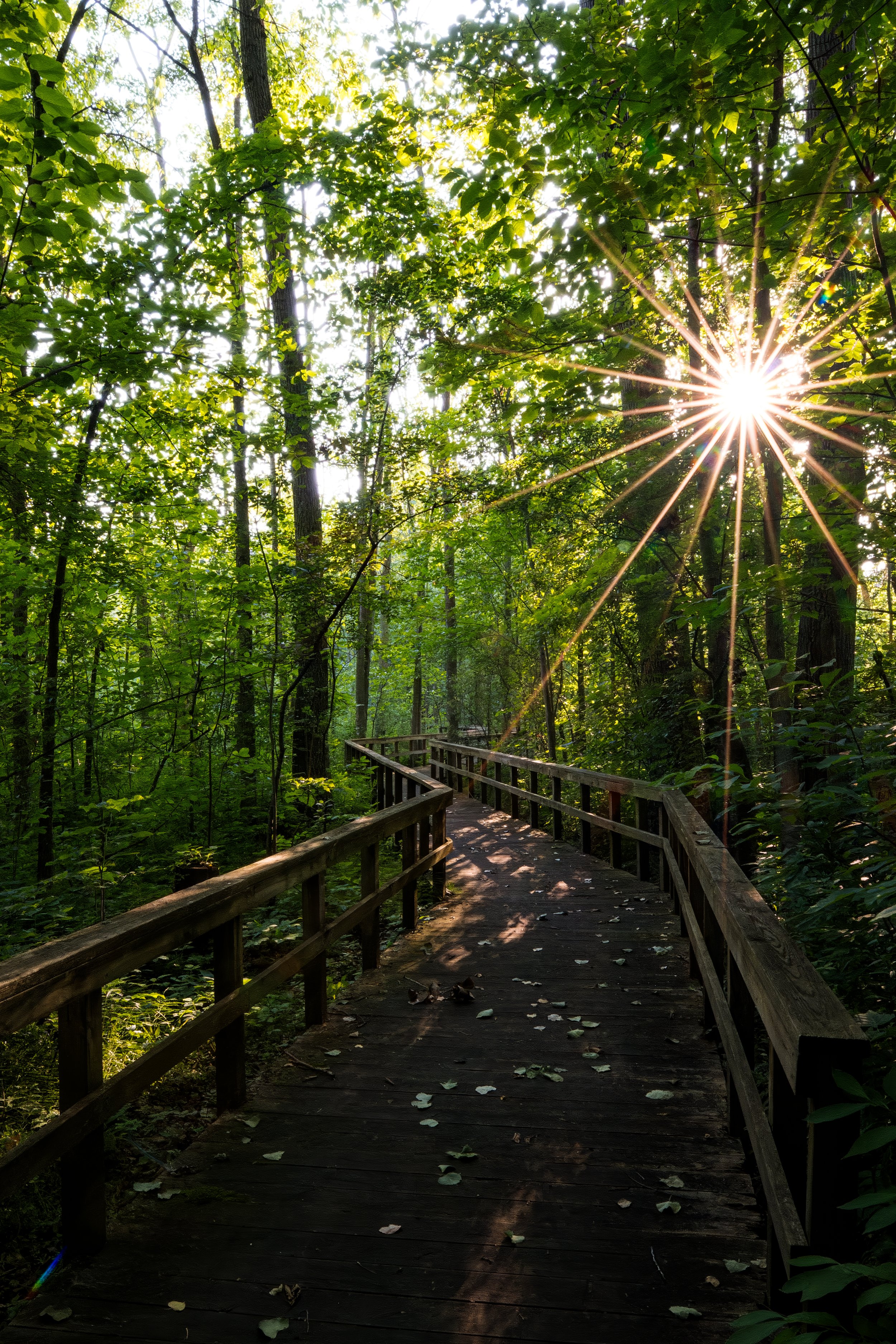 Surprises And Paths