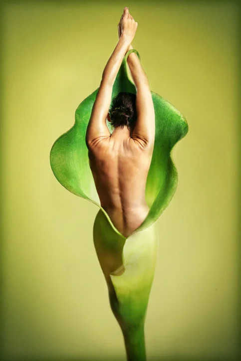 Holistic Women's Health & Integrative Gynecology Providing a full complement of women's health care services by incorporating both natural and conventional treatment options to women of all ages and stages of life is at the heart of Femelle. Integrative medicine allows for more individualized care, expands therapeutic options, and empowers women to take part in the their health care. Femelle offers an integrative approach to a wide variety of women's health needs including perimenopause and menopause, chronic vaginitis, cervical dysplasia and HPV, polycystic ovarian syndrome (PCOS), endometriosis, vulvodynia, menstrual complaints, contraceptive options, preconception care, and infertility. Pap smears and annual well woman exams are also provided at our clinic. 