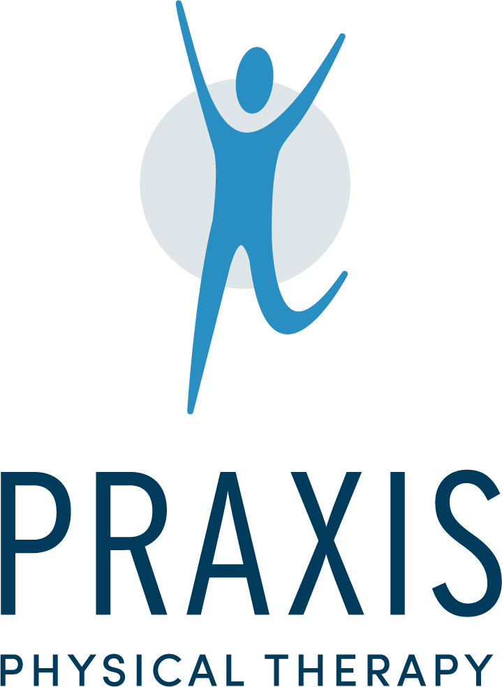 Praxis_Logo_RGB_FullColor_GrayCircle_Vertical.png