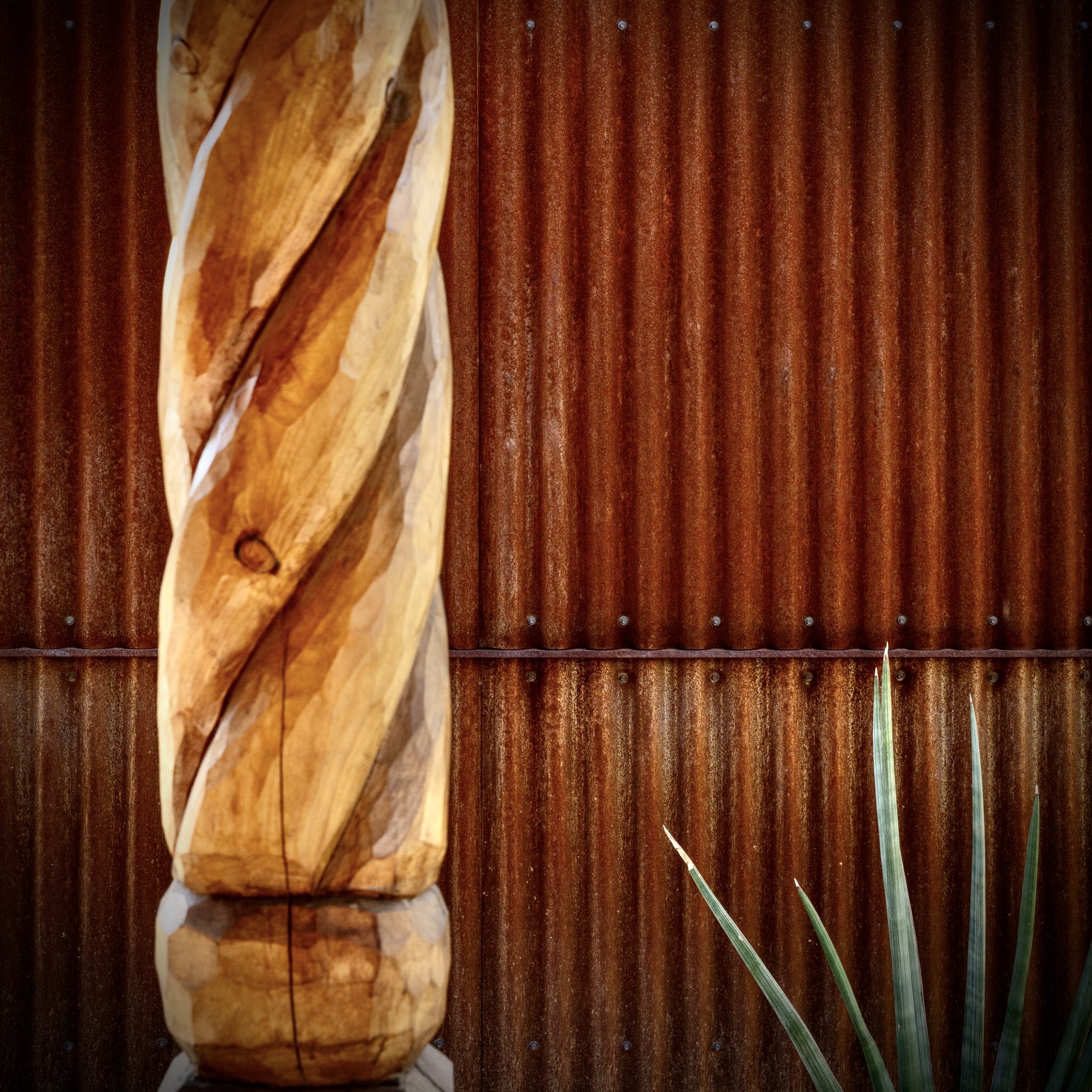 Photo Feb 19 2026, 11 53 40 AM.jpg