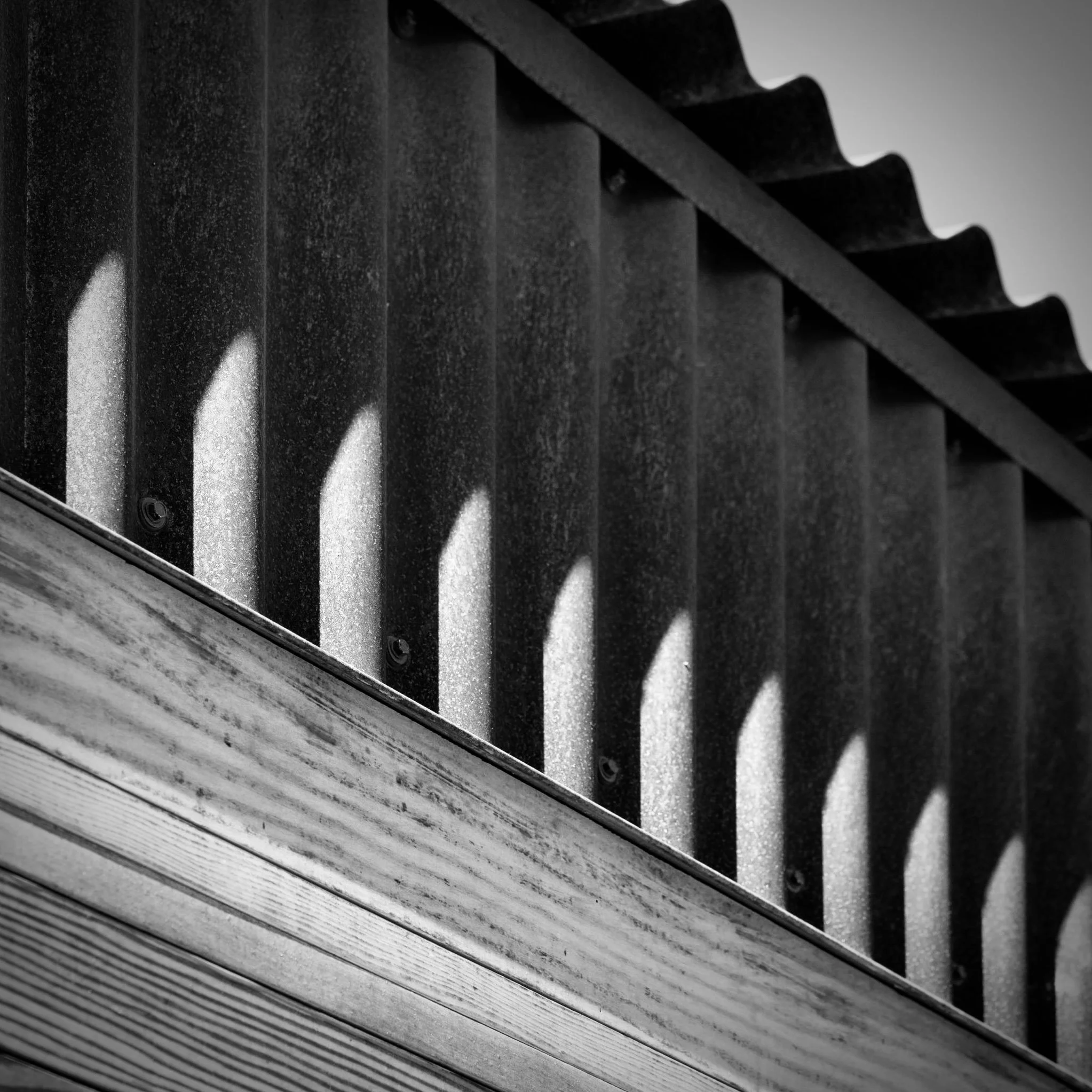 Photo Feb 19 2026, 11 55 28 AM.jpg