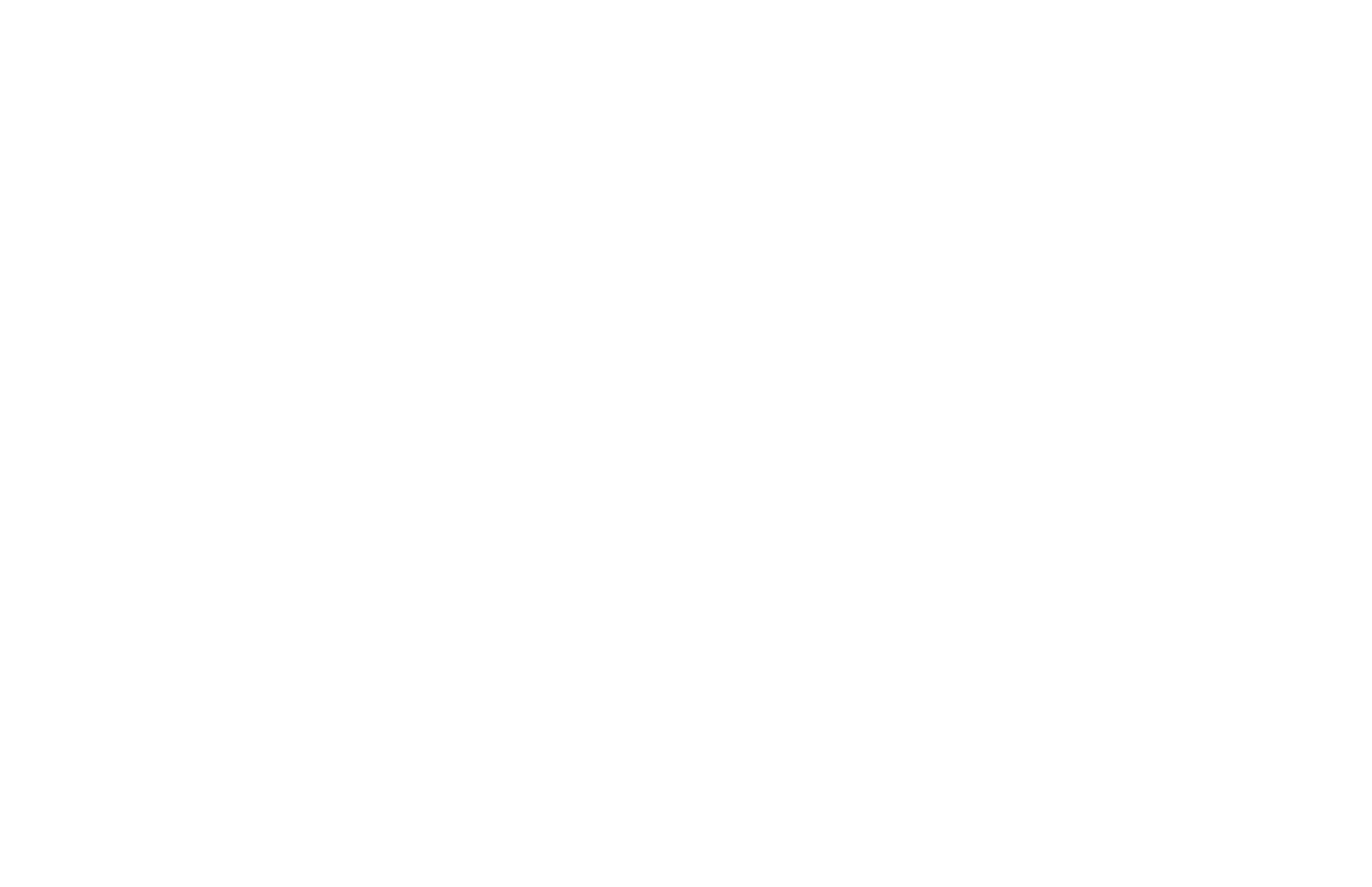 My Ring Guy
