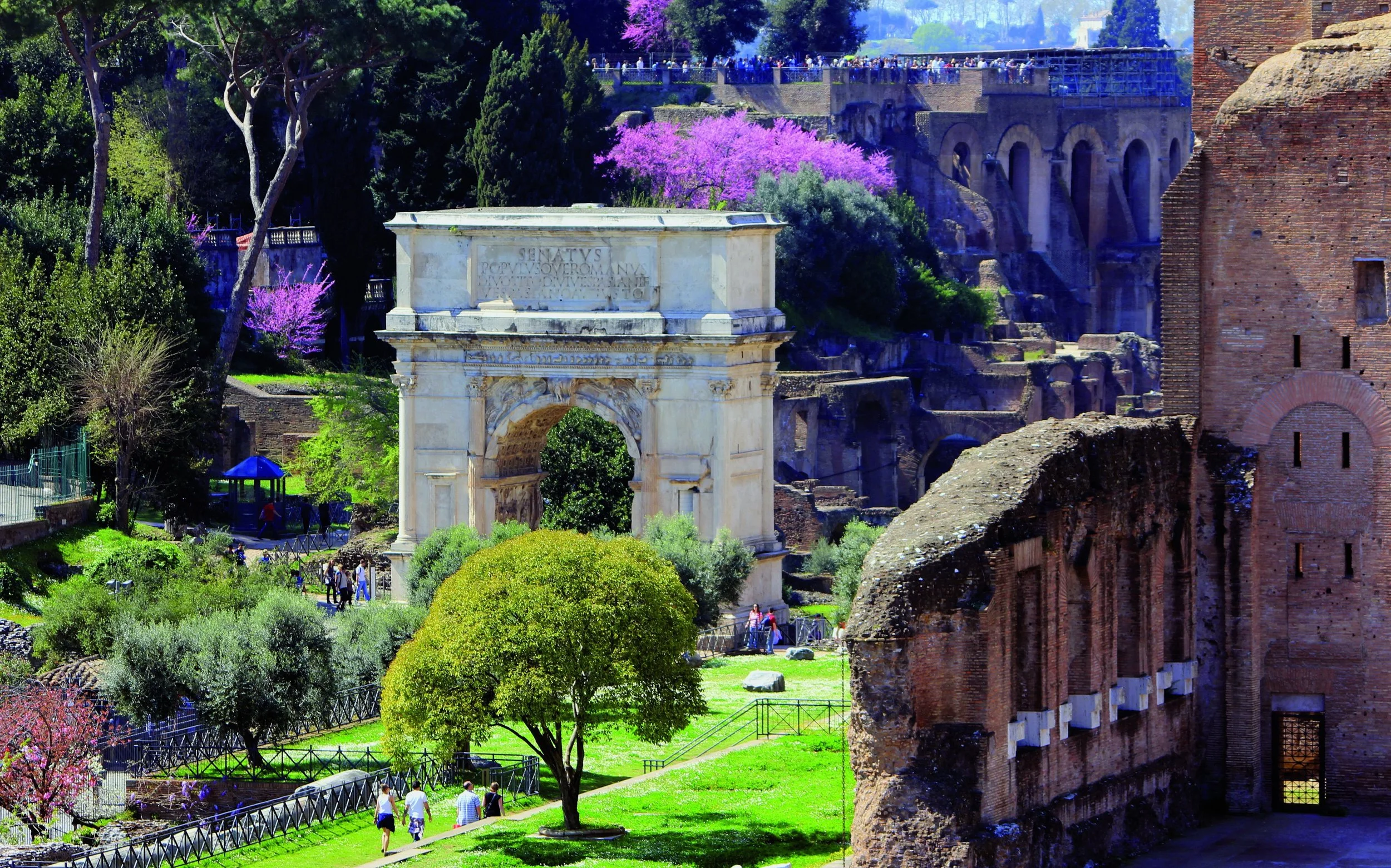 Italia 5+_Photo 2.JPG