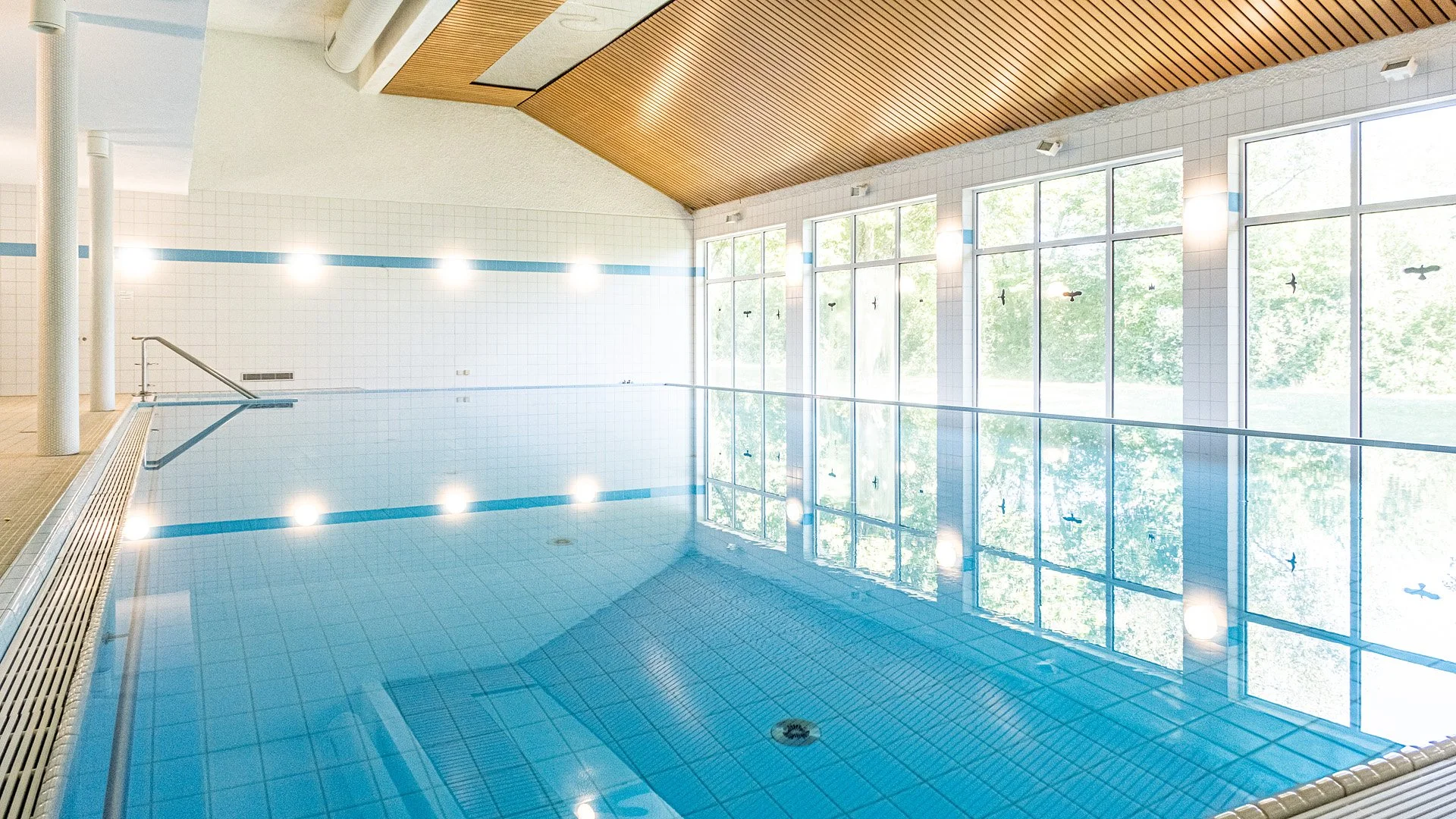 Alberca | Swimming Pool 