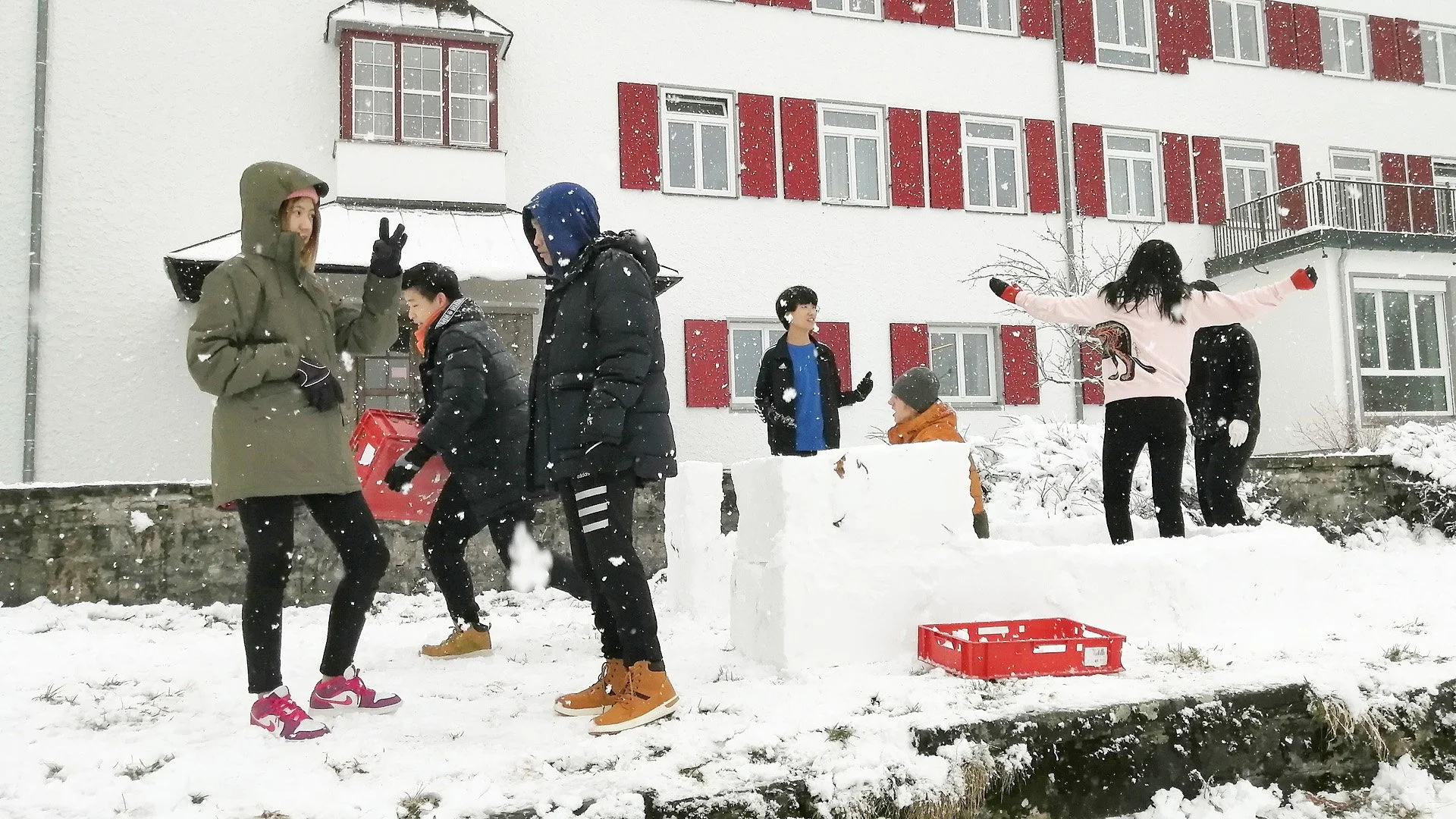 Pausa en Invierno | Winter break 