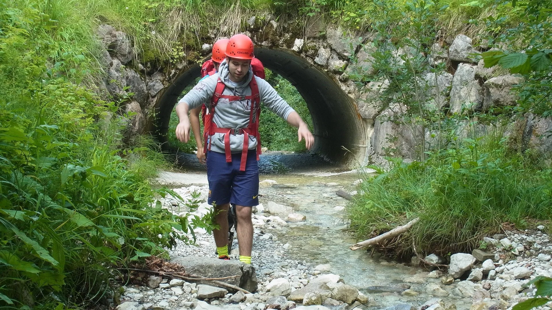 Paseo en Naturaleza | Nature Walk 
