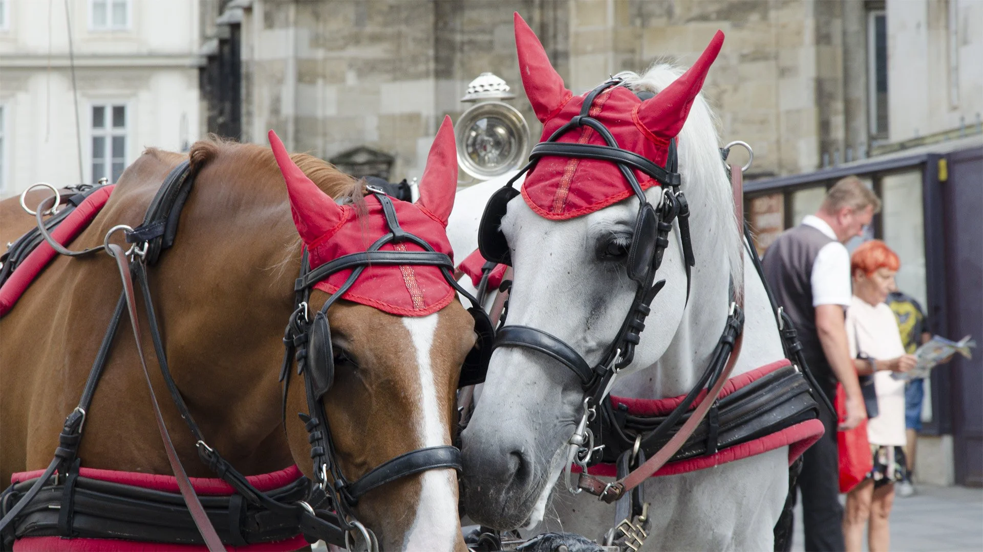 Centro | City Center