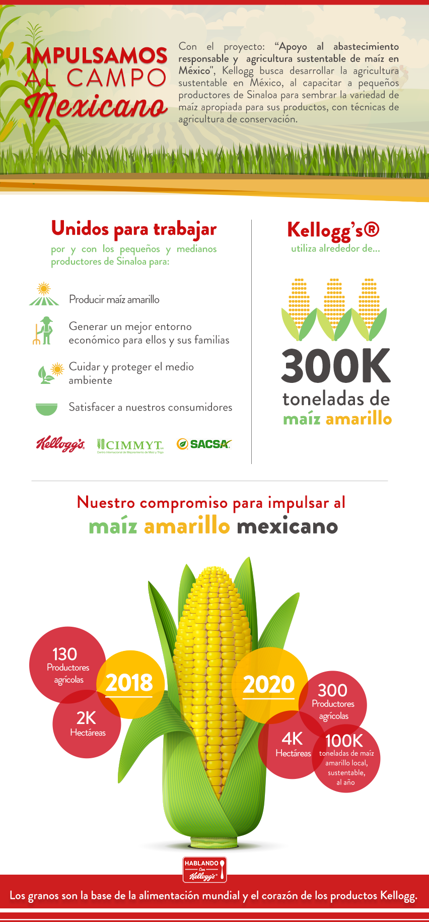 Infografía-maiz.png