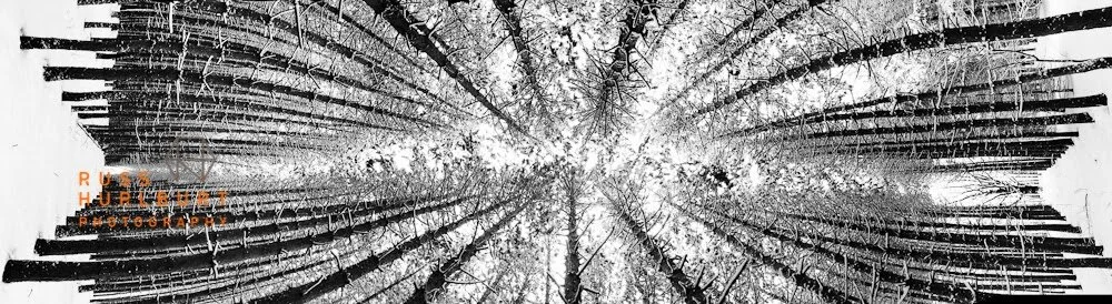 Which Way is Up