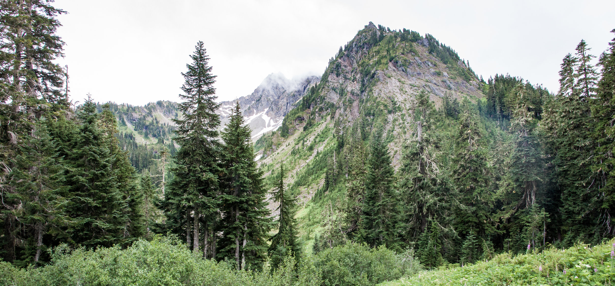  2017. Olympic National Park, Washington, USA. 