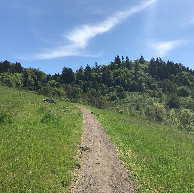 This #local, #nofilter expanse allowing for being and moving and grounding... much appreciated. As I meandered yesterday, I got a wee jolt of a vibe from my child self... you know&mdash; the iteration content enough to find joy in an hour of running 