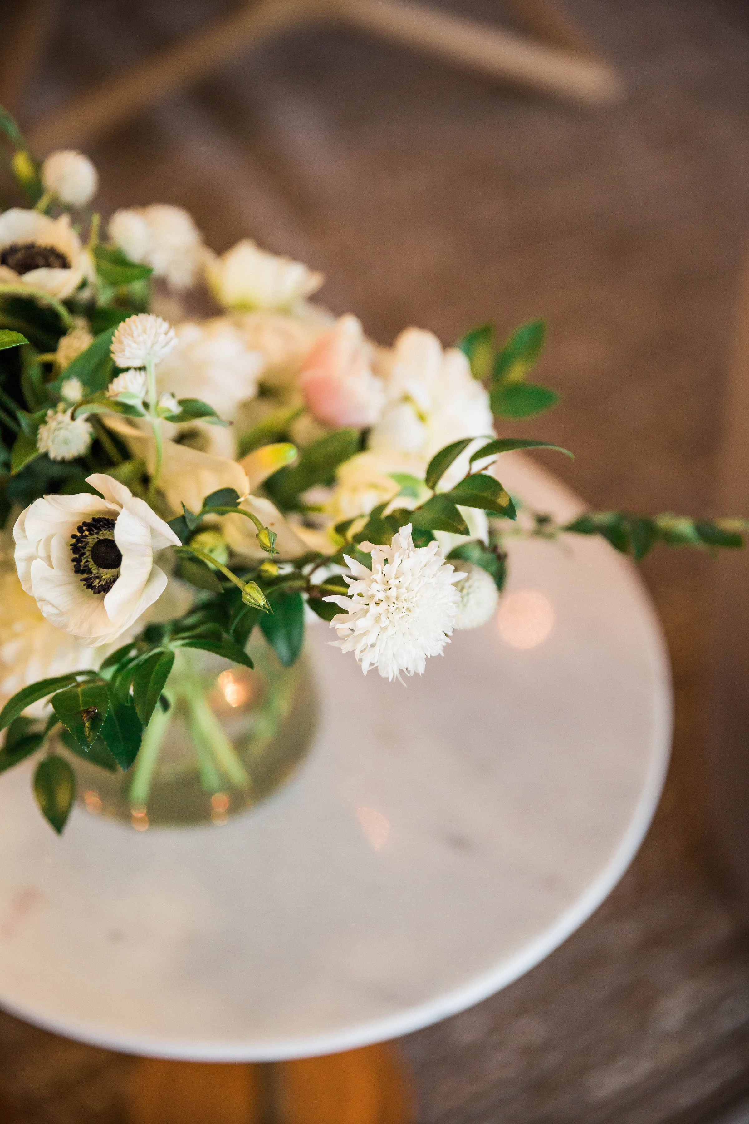 VanessaTierneyPhotography_Curology_020B0003.jpg