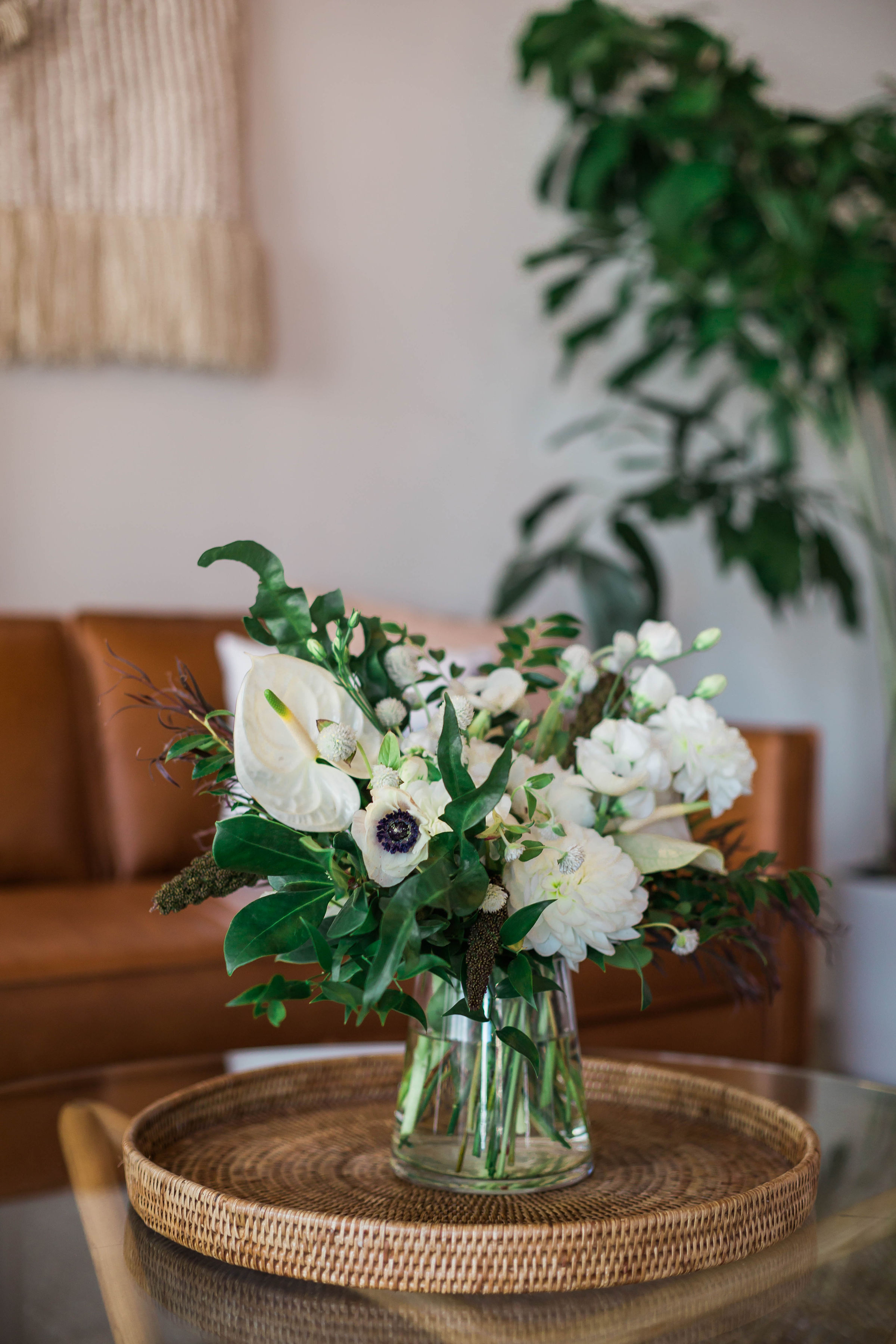 VanessaTierneyPhotography_Curology_020B6080.jpg