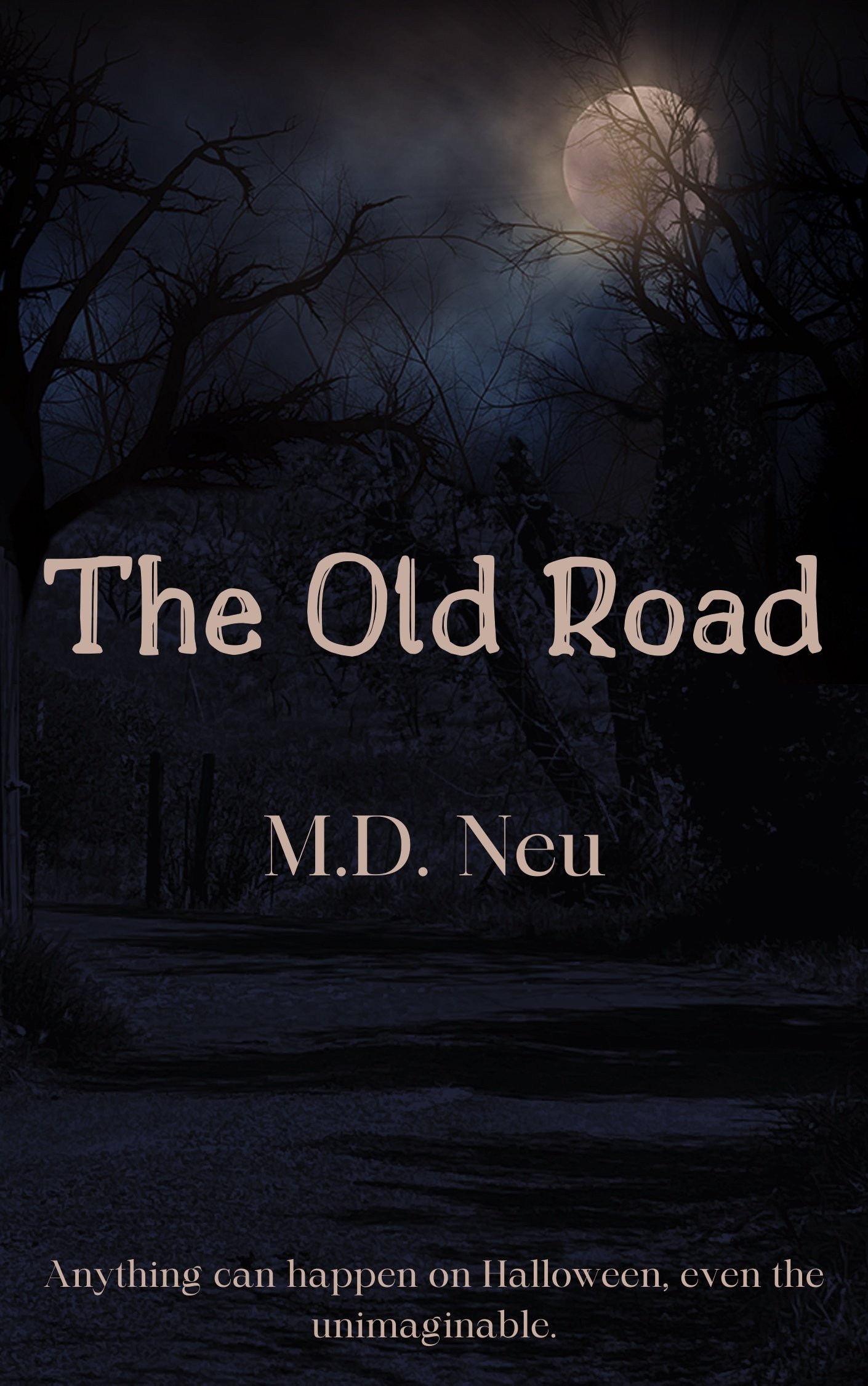 The-Old-Road-Kindle.jpg