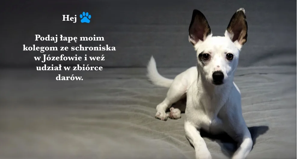 Zbiórka. (1).jpg