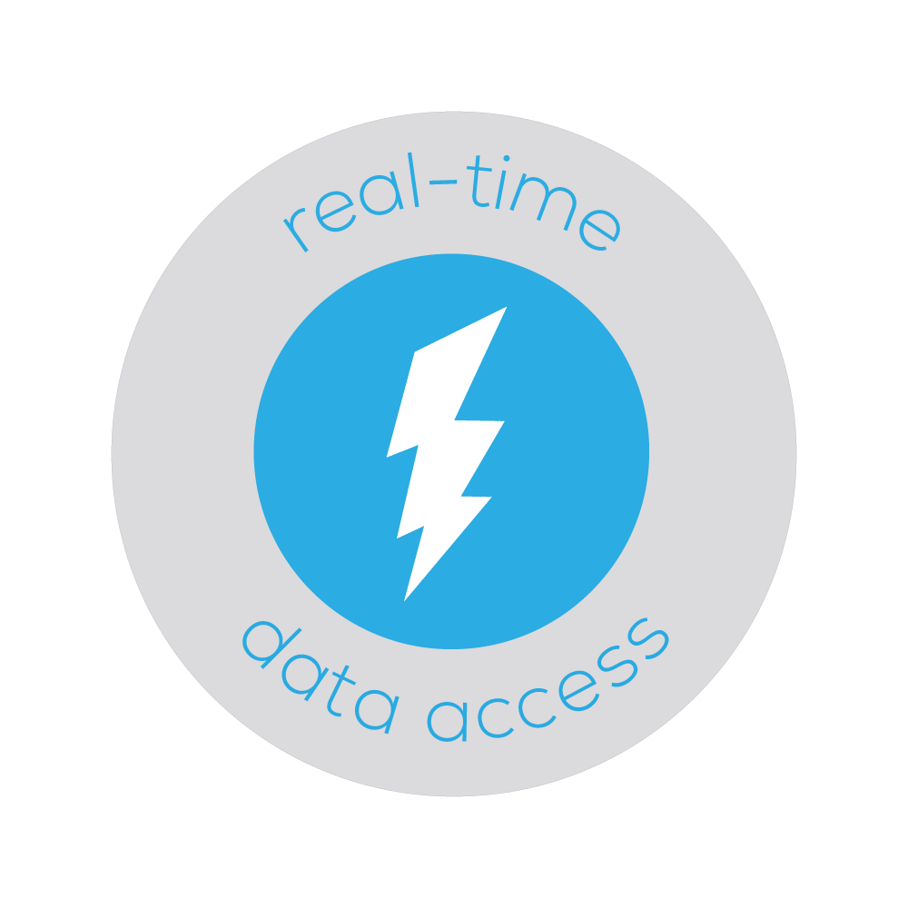 Real-Time Data Access