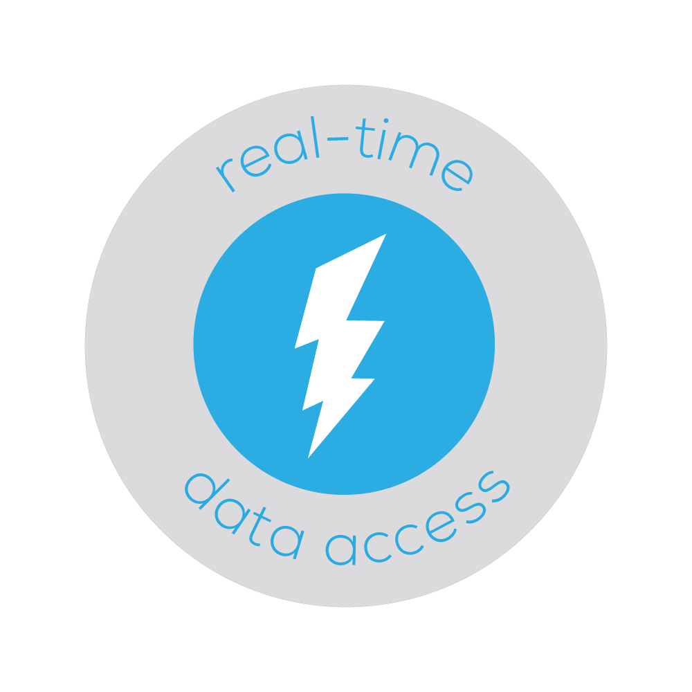 Real-Time Data Access