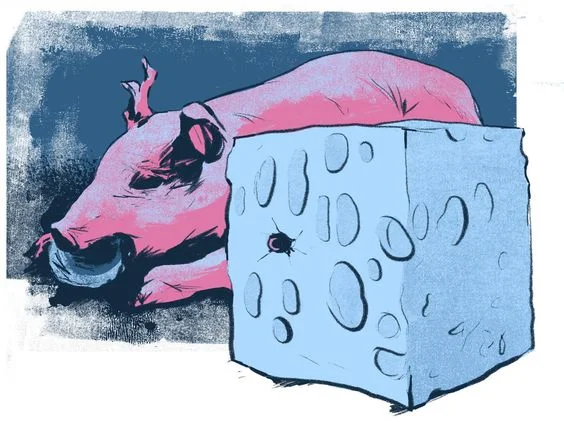 The Murder At Casa Green