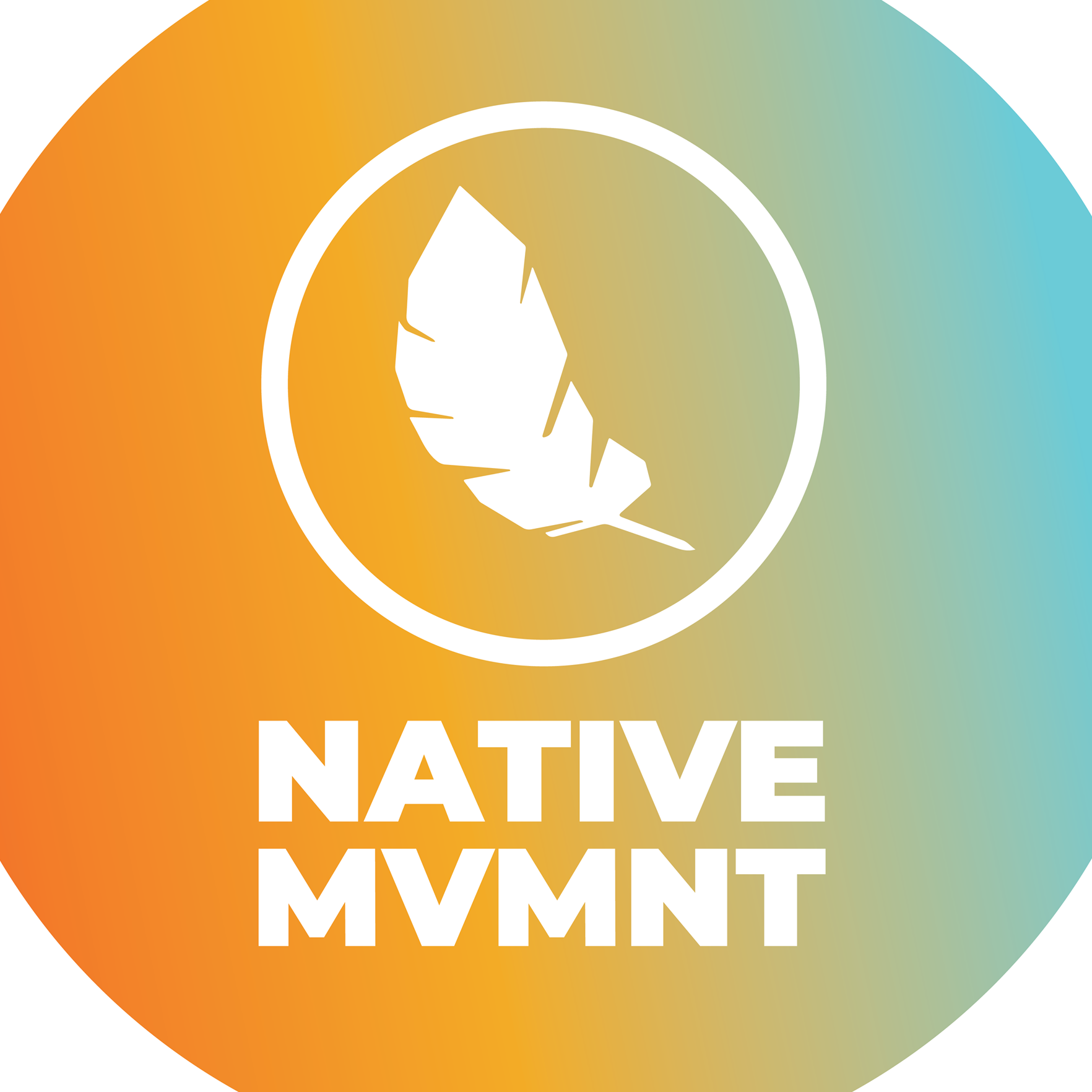 NativeMVMNT.png