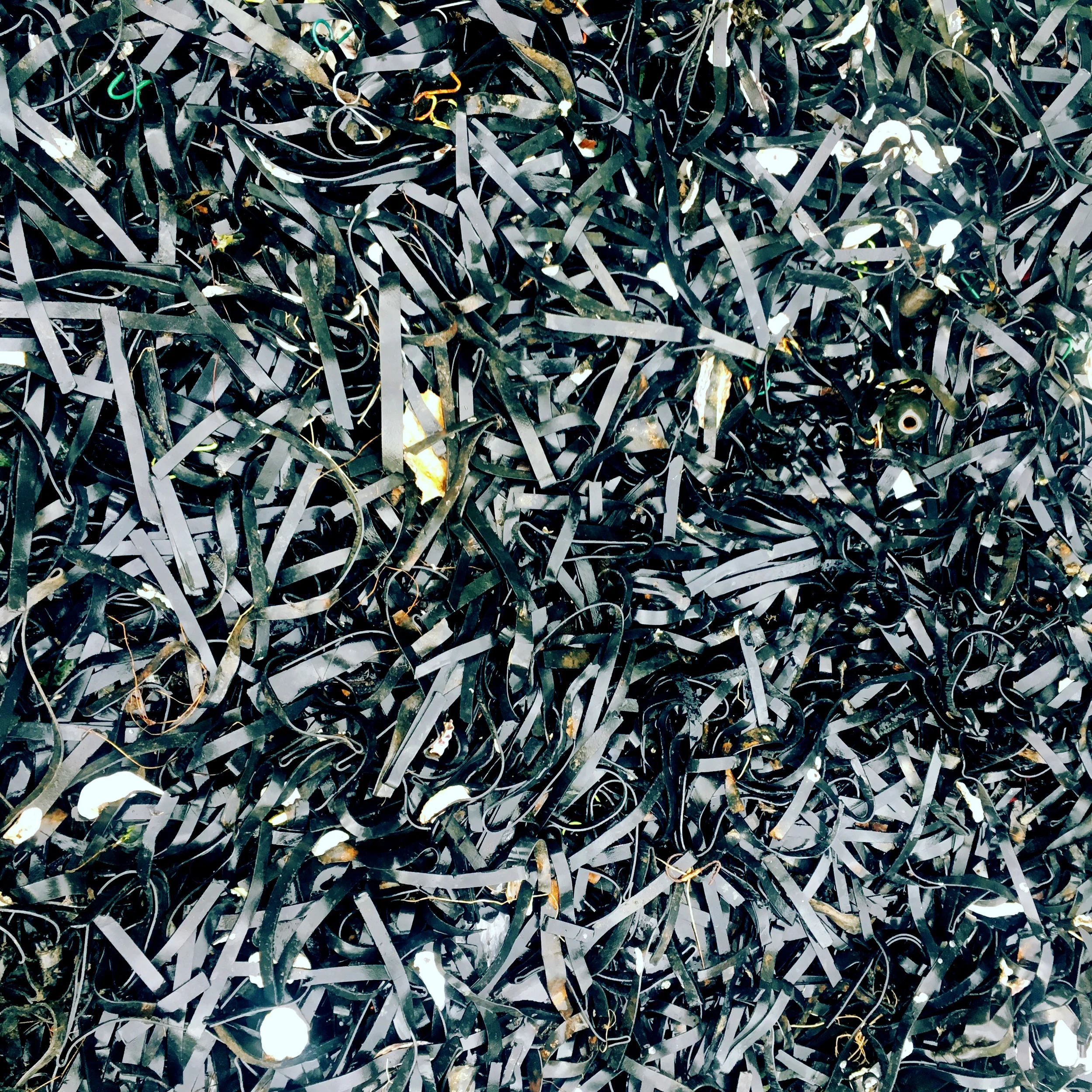 Mass, The Black Stuff, 2018 The Black Stuff In 2015 I discovered The Black Stuff , alien in its surroundings, littering the beach. Often wrapped up and camouflaged by native black seaweed, broken black fragments lay inert along the shore. The plastic, consistently regurgitated by the sea was traced to local industrial oyster farms, part of the equipment used globally in the mass production of oysters. Over the past 3 years the process of accumulation, collecting strand by strand, has resulted in a length of over 8km. The Black Stuff series is a body of sculptural works exploring this material.