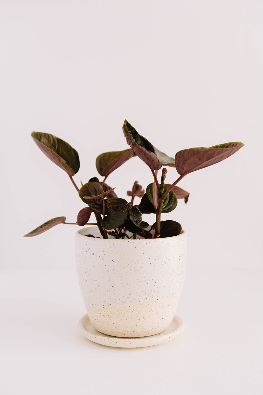 SKD Ceramics