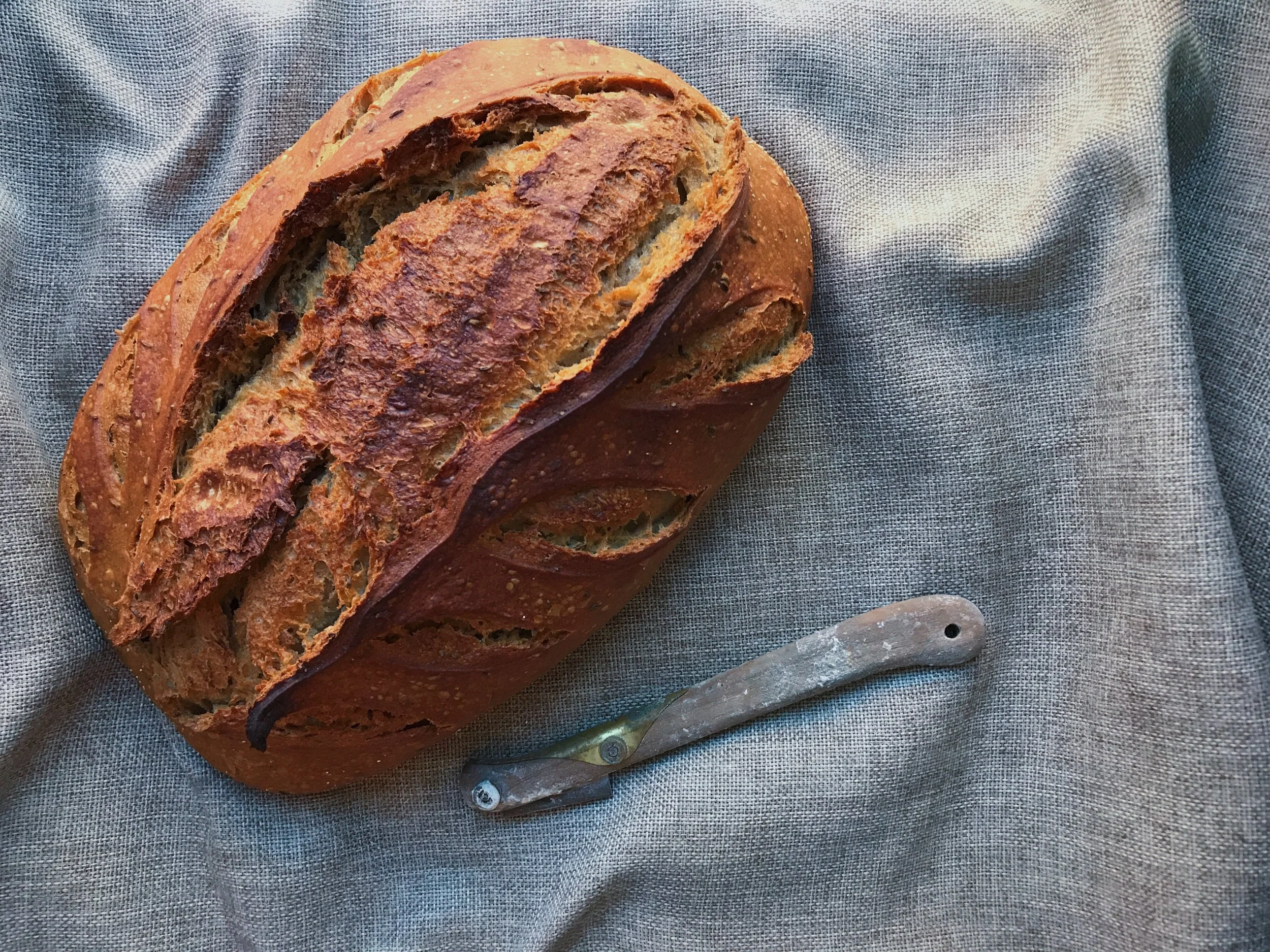 BAKERY by frothy monkey