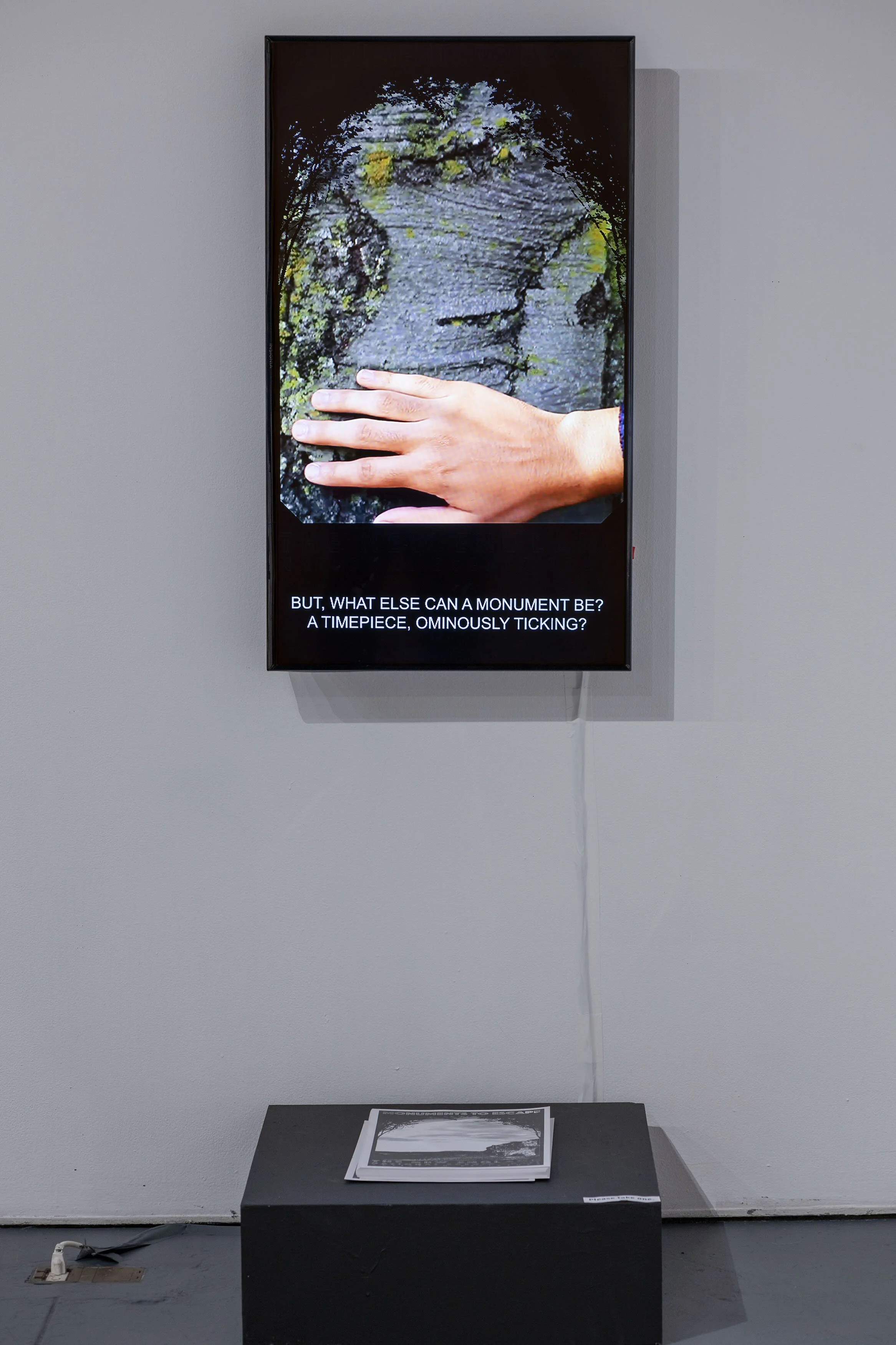 GRO_0657-2.jpg