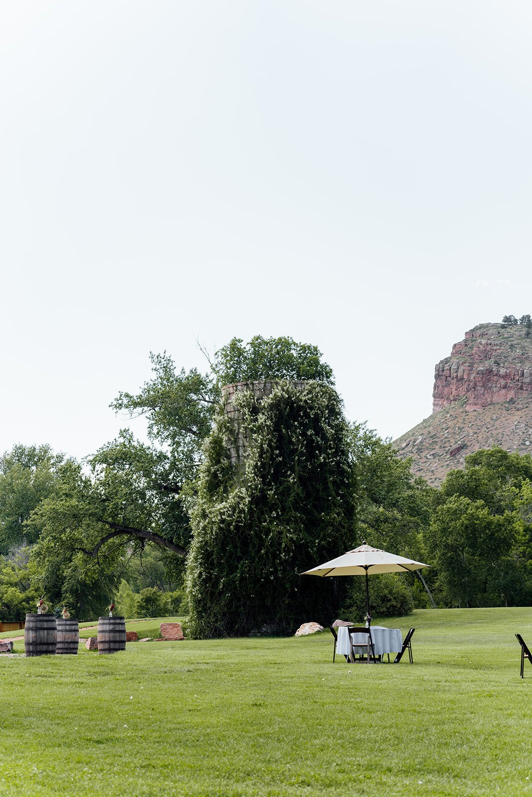 Erin & Dom -08184.jpg