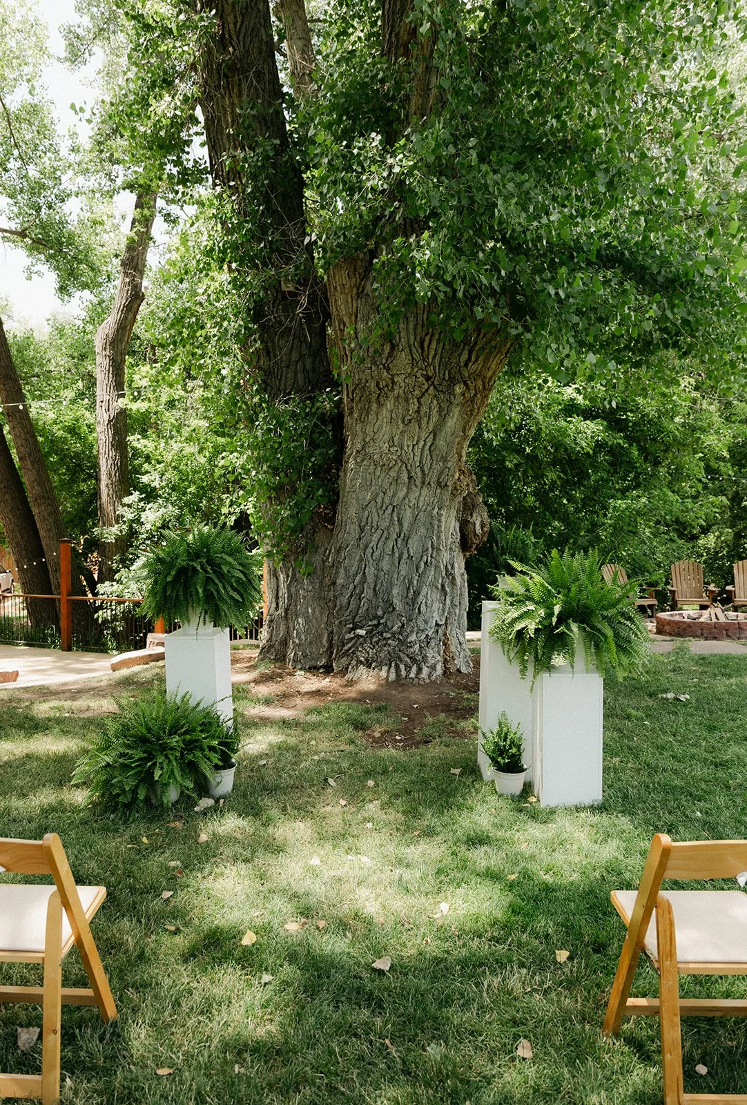 Catherine + Wayne Wedding SNEAKS 6.27.25.BellaGenovesiPhotography-9.jpg