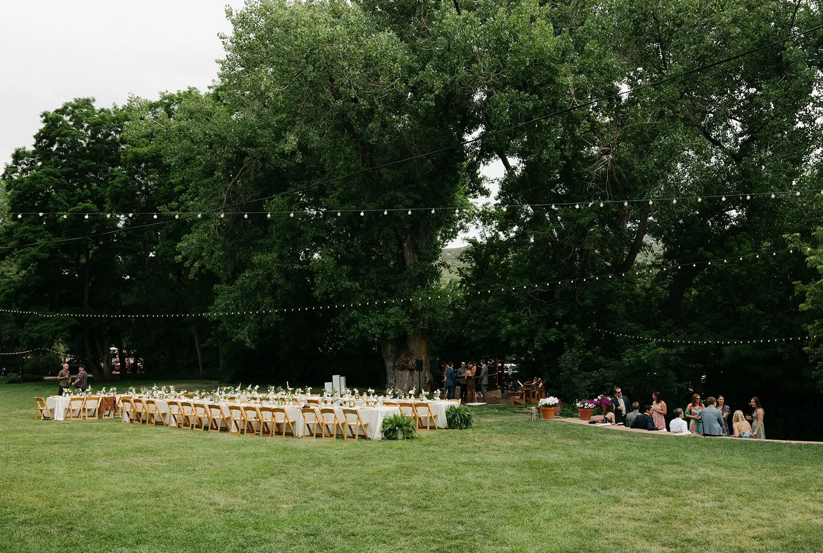 Catherine + Wayne Wedding SNEAKS 6.27.25.BellaGenovesiPhotography-129.jpg